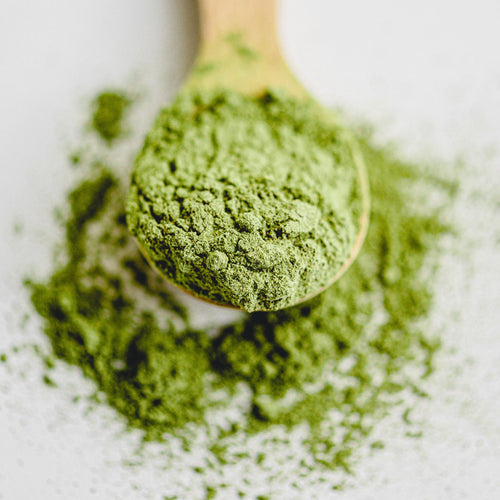 Matcha Culinaire Bio – 50 g