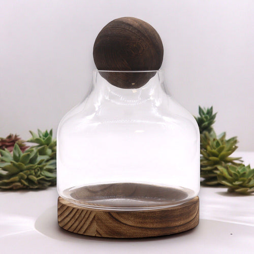 Terrarium Boule en Bois de Tung Foncé – 17x22 cm