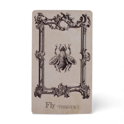 Oracle Grimoire – Jeu de Sorcellerie
