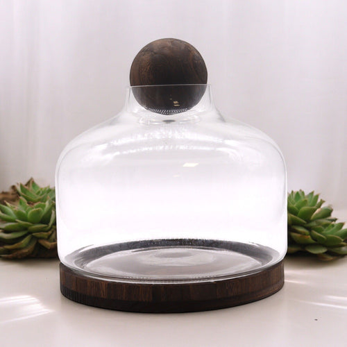 Terrarium Boule en Bois de Tung Foncé – Très Grand Modèle 23x23 cm