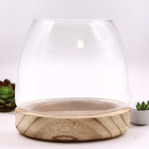Terrarium en Verre sur Socle Bois – 15x15 cm