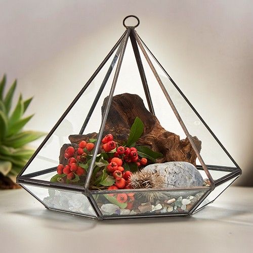 Terrarium en Verre – Grand Modèle Diamant