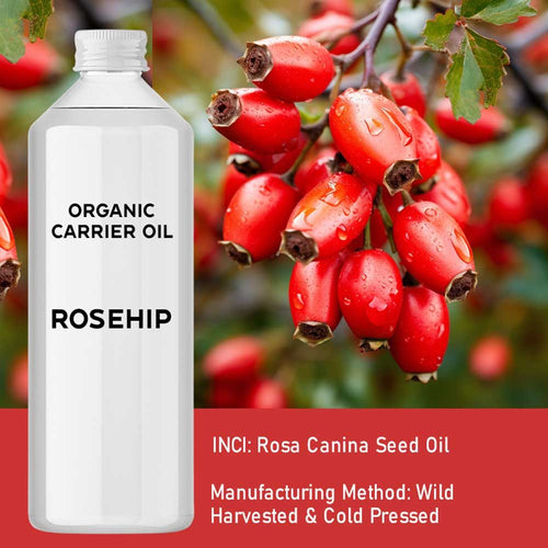 Huile de Rose Musquée Bio 1 Litre