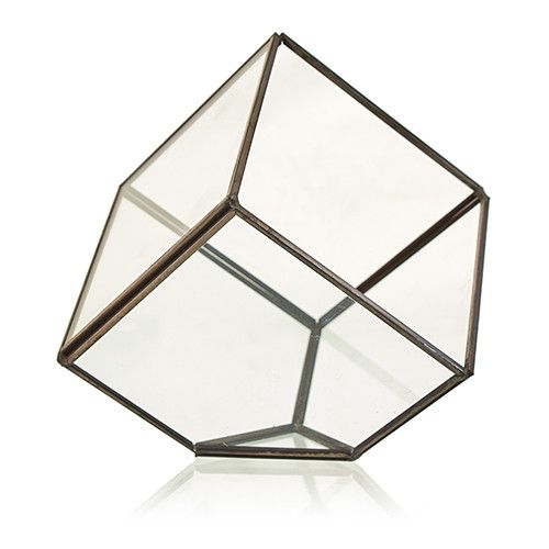 Terrarium en Verre – Cube sur Angle