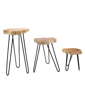 Supports à Plantes en Bois Gamell (Lot de 3) – Blanchi