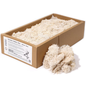 Mousse Végétale Stabilisée 635 g – Naturel