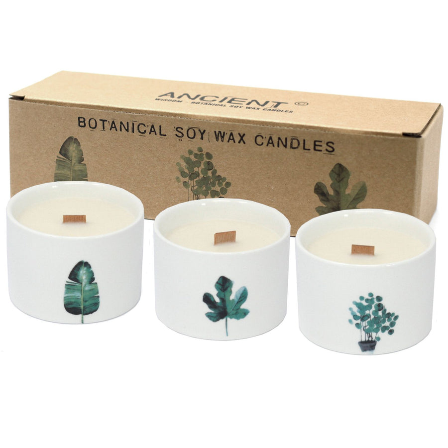 Bougie Botanique Cire de Soja – Chèvrefeuille & Citron