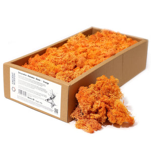 Mousse Végétale Stabilisée 635 g – Orange