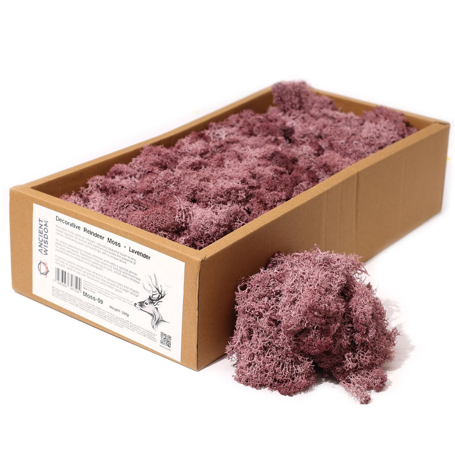 Mousse Végétale Stabilisée 635 g – Lavande