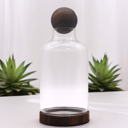 Terrarium Boule en Bois de Tung Foncé – Grand Modèle 16x32 cm