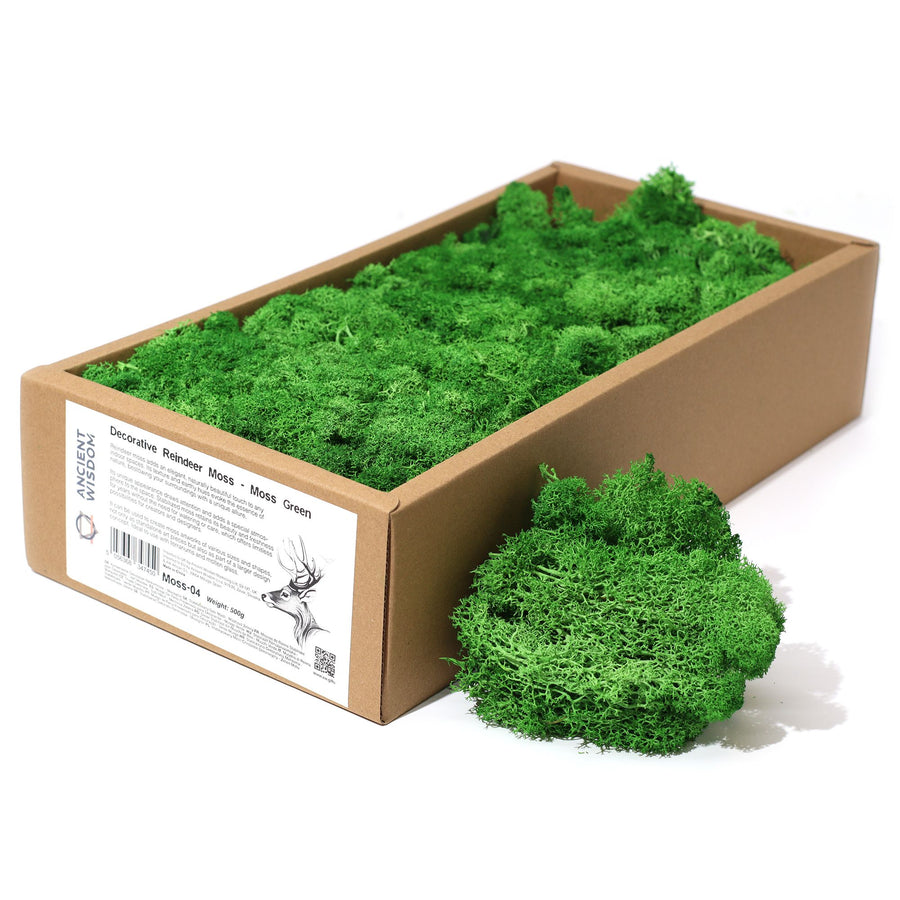 Mousse Végétale Stabilisée 635 g – Vert Mousse