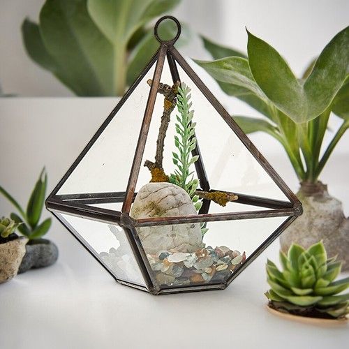Terrarium en Verre – Petit Modèle Diamant