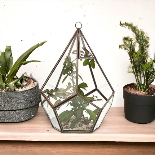Terrarium en Verre – Grande Pyramide