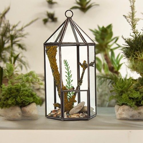 Terrarium en Verre – Forme Lanterne