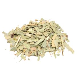 Eucalyptus (feuilles coupées) 1 Kg