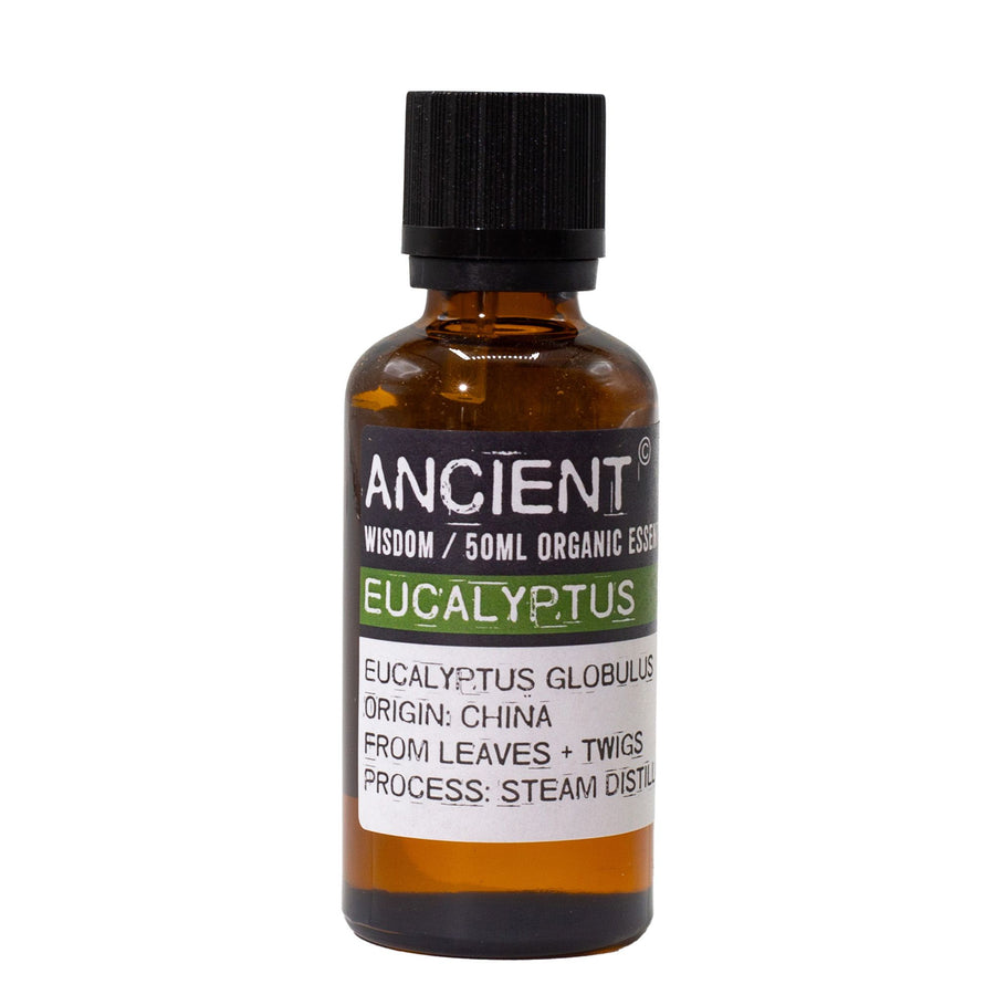 Huile Essentielle d'Eucalyptus Bio – 50 ml