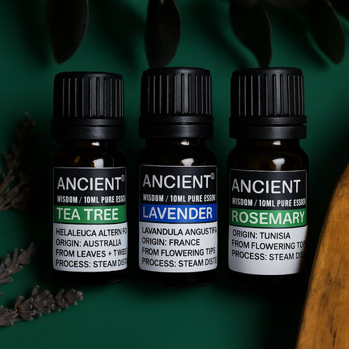 Coffret d'Huiles Essentielles - Lavande, Tea Tree & Romarin (10 ml)