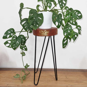 Support à Plante en Bois d'Albasia – Blanchi
