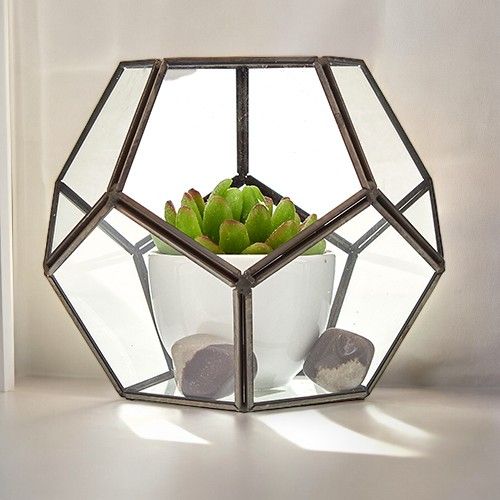 Terrarium en Verre – Grand Octogone