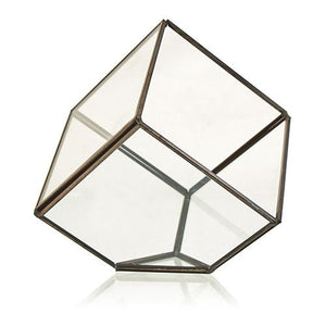 Terrarium en Verre – Cube sur Angle